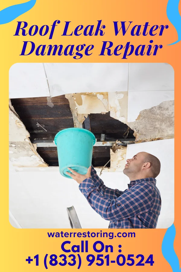Roof Leak Water Damage Repair in Levan, UT